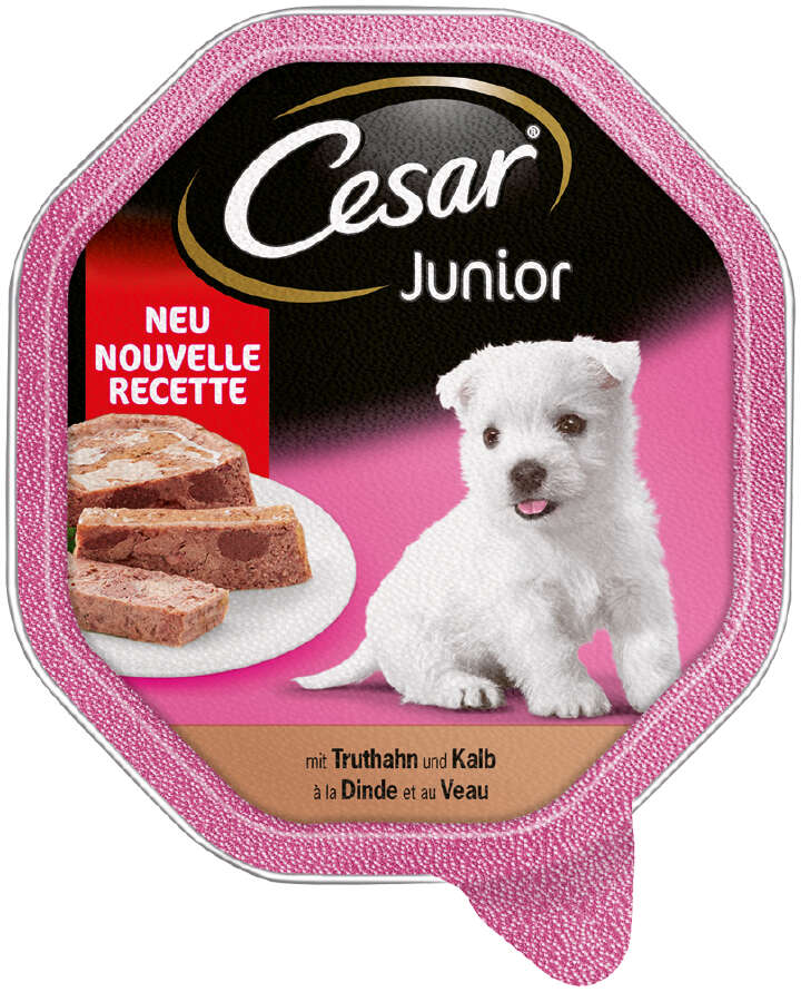 Cesar Hunde-Nassfutter Junior Truthahn & Kalb in Pastete